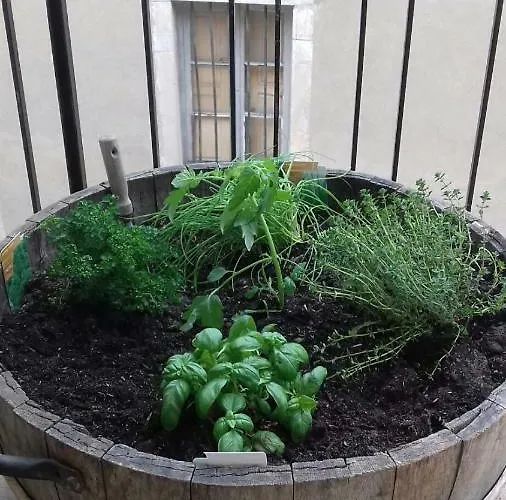 Holiday home Au Coeur De Volnay *